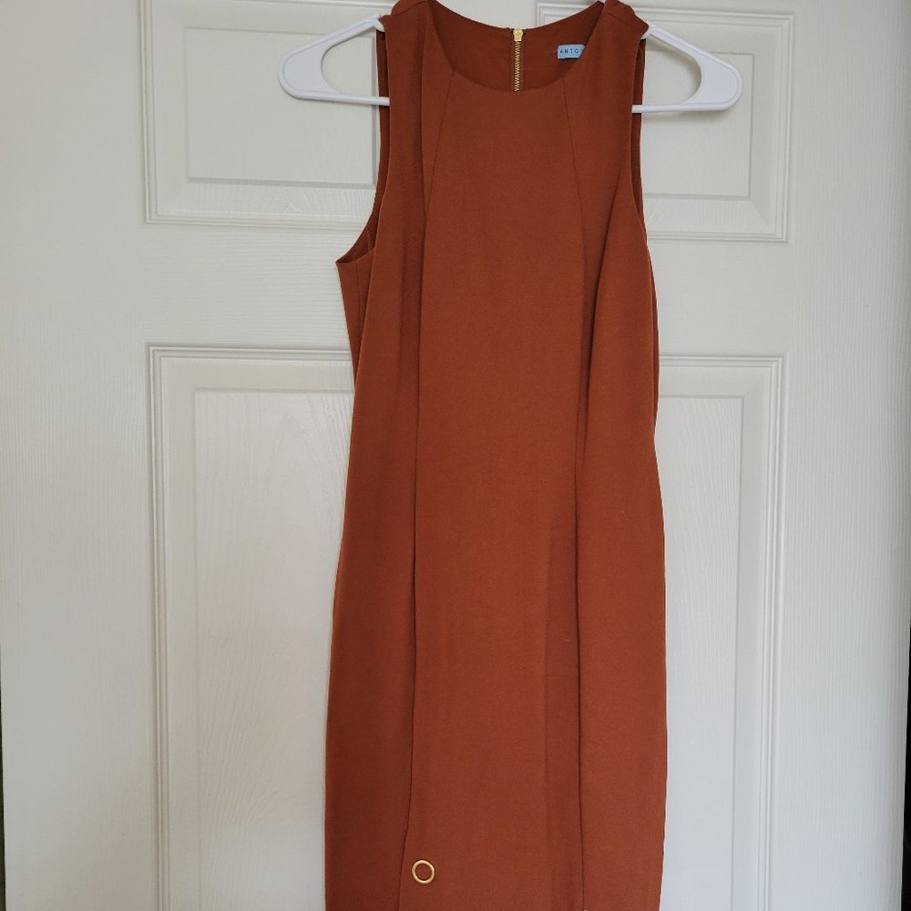 Antonio Melani Dress